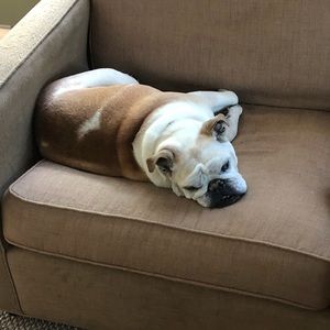 Meet your Posher, Maureen